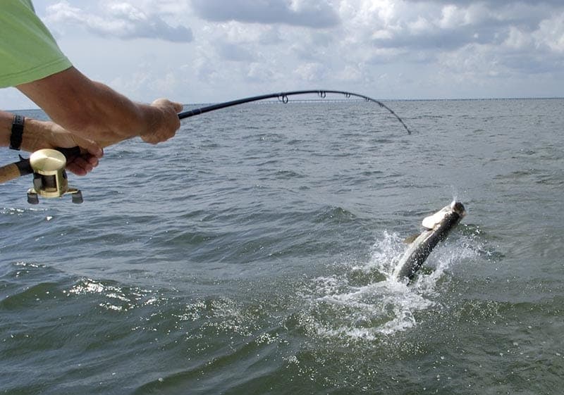 Nature Coast Fishing Reports