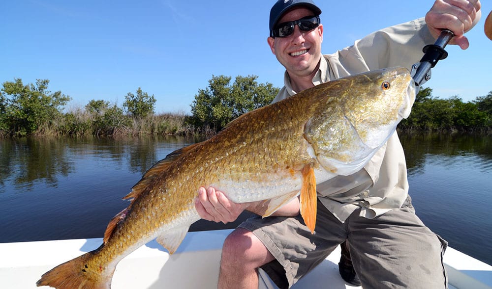 Tampa fishing charter client redfish fishing