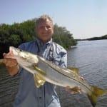 tampa bay fishing charter for snook