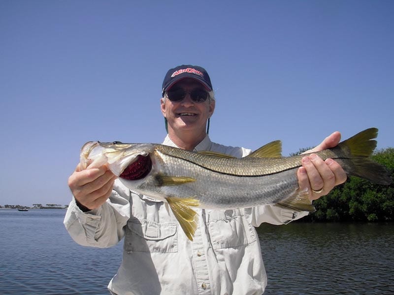 Tampa Bay Snook charter