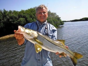 Tampa Fishing charter client holding back country snook during SW Florida fishing charter.