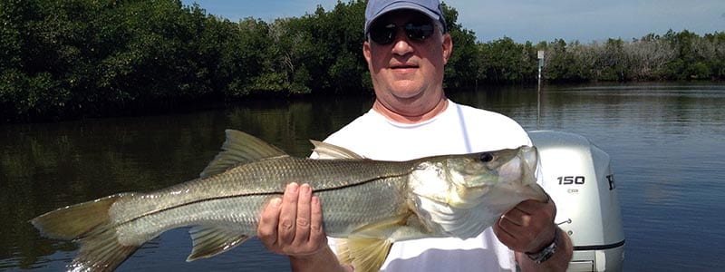 Tampa Inshore Fishing Charters Captain for inshore, flats and skinny water fishing with landed Snook