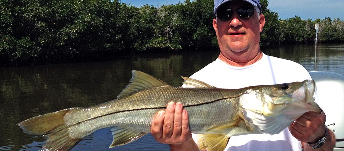 Tampa Bay Fishing Charters - Tampa Fishing Charters