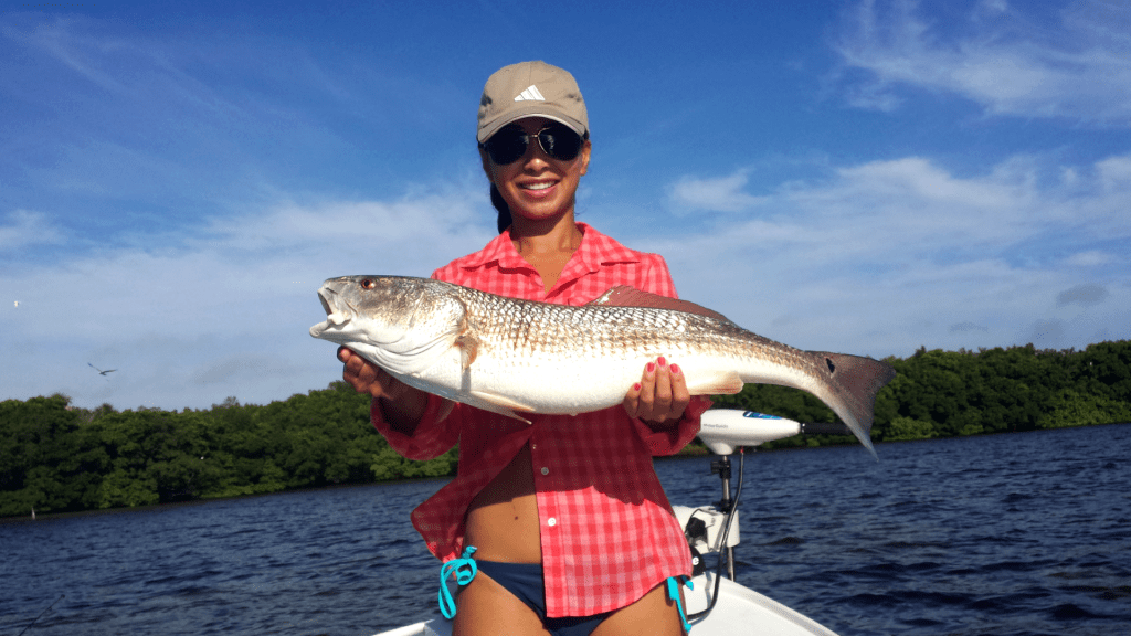 Tampa Bay Fishing for Tampa Bay Redfish