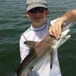 Tampa fishing Chartes for Sharks